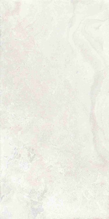 Petra Viva Bone Matte 24 x 48